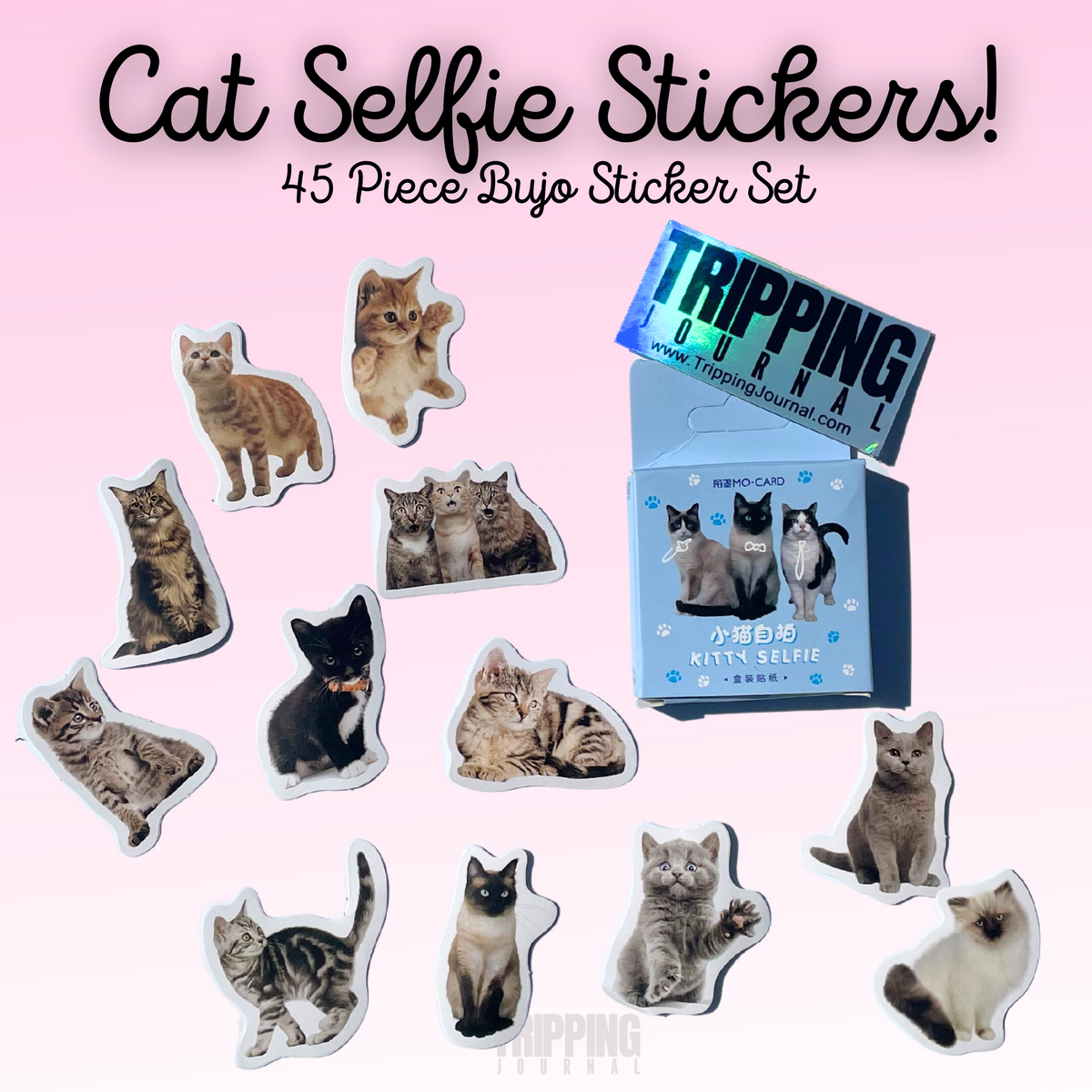 Cat Selfies: 45 Piece Sticker Set🐈