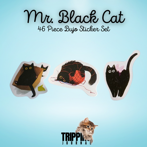 Mr. Black Cat: 46pcs Sticker Set 🐈‍⬛